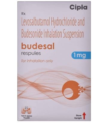 BUDESAL 1 MG RESPULES - Davai24